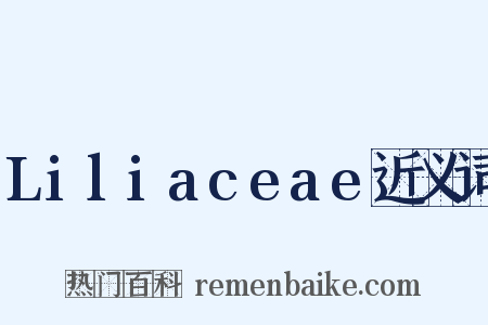 Liliaceae近义词是什么意思的图片